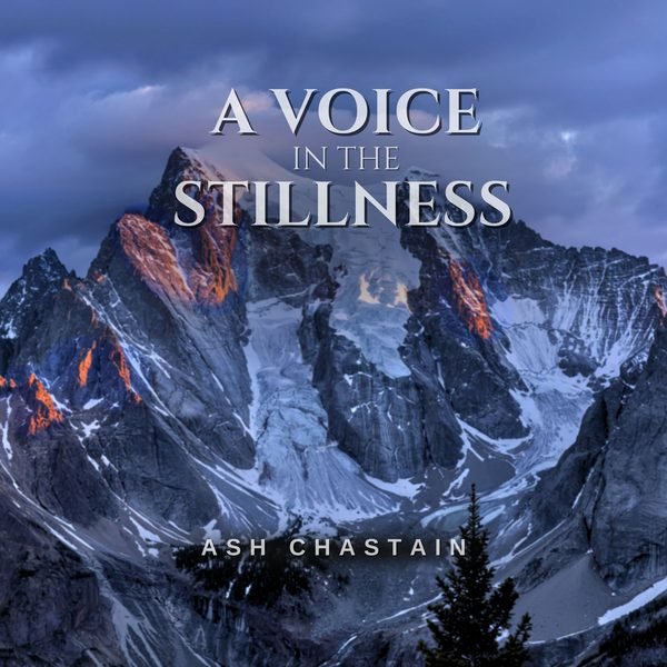 A Voice in the Stillness cover artwork