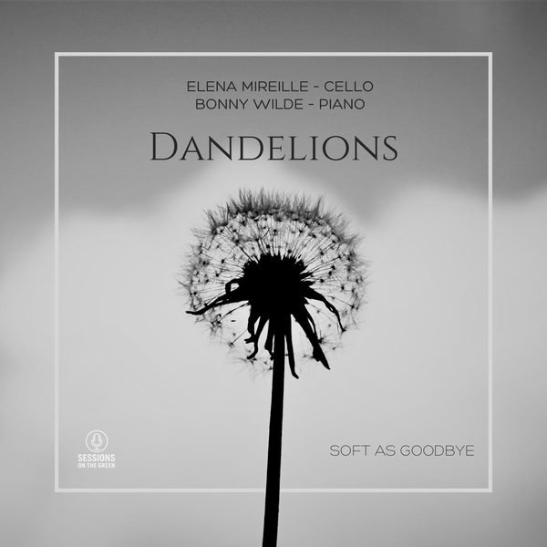 Dandelions cover artwork