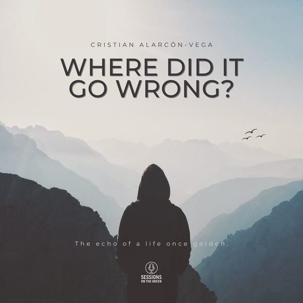 Where Did It Go Wrong cover artwork
