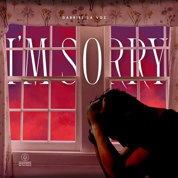 I'm Sorry cover artwork
