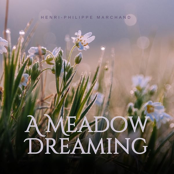 A Meadow Dreaming cover artwork