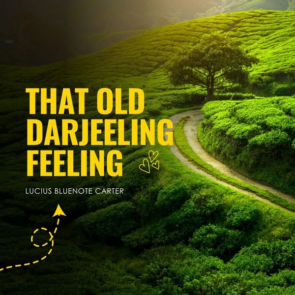 That Old Darjeeling Feeling cover artwork
