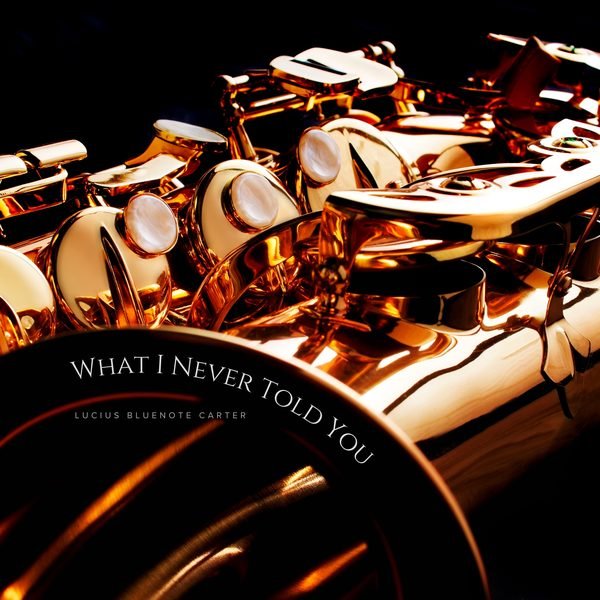 What I Never Told You cover artwork