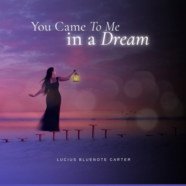 You Came to Me in a Dream cover artwork