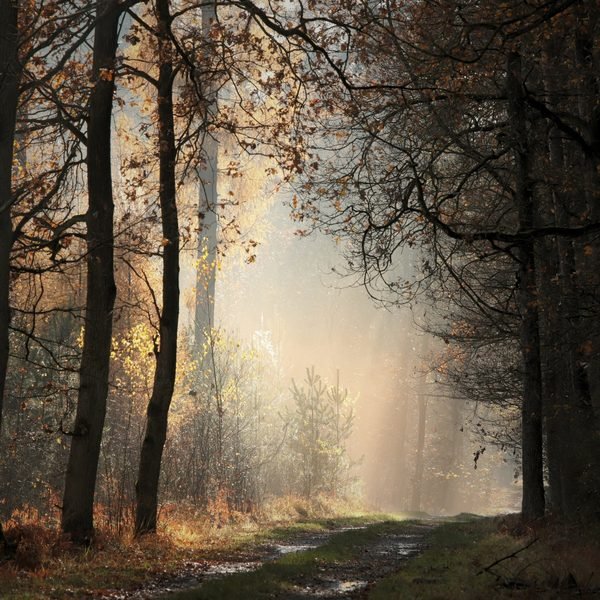 All This Quiet cover artwork