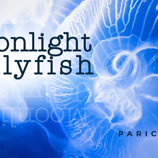 Moonlight Jellyfish cover artwork