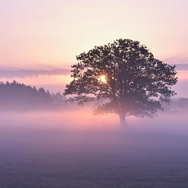 Silence Breathes cover artwork