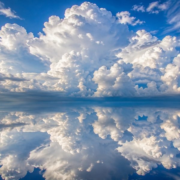 The Sky Was Not cover artwork