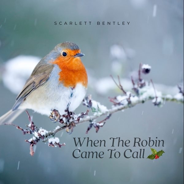 When the Robin Came to Call cover artwork
