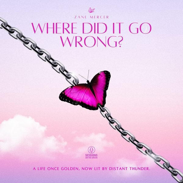 Where Did It Go Wrong cover artwork